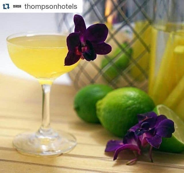 Gastronomista A Pineapple Mango Daiquiri For