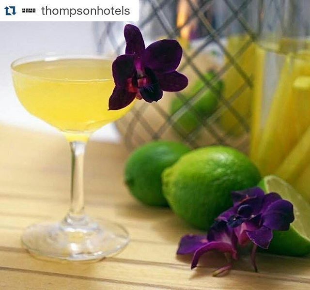Gastronomista A Pineapple Mango Daiquiri For